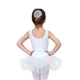 Sansha ballet bun BBH, Haarnetz