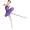 Capezio Tutu leotard, Trikot mit Tutu-Rock Capezio Tutu leotard, Trikot mit Tutu-Rock