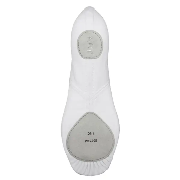Bloch Perfectus stretch, Tanzschläppchen für Herren 