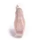 Capezio Donatella 1139W, Ballettspitzen